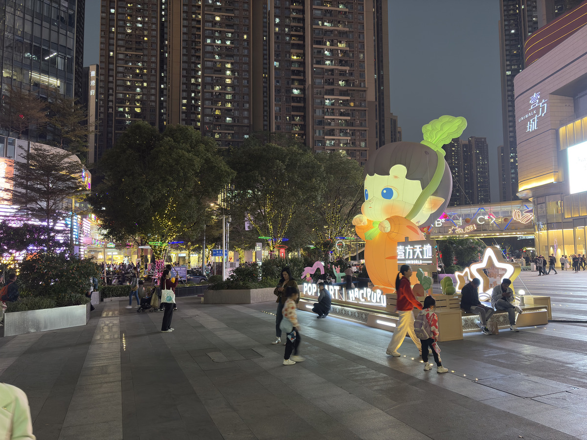 Picture China Shenzhen 2026-01 53 - Price Shenzhen