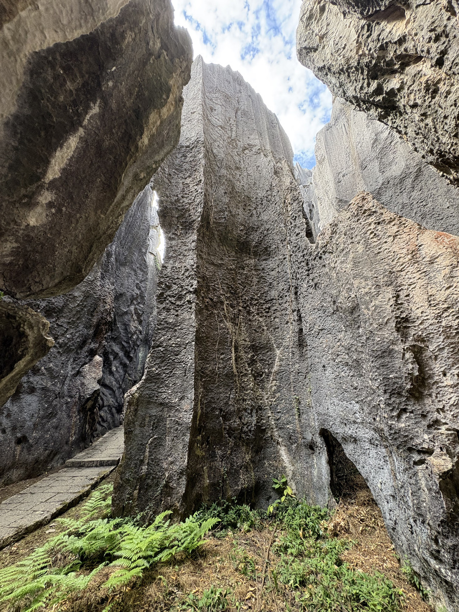 Picture China Shilin Stone Forest 2026-01 18 - Transport Shilin Stone Forest