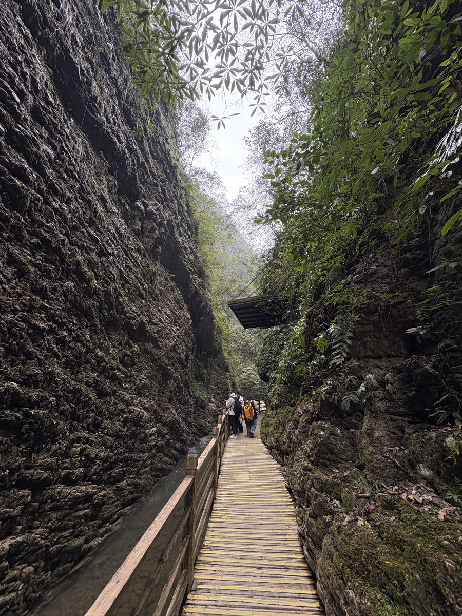 Picture China Zhangjiajie Grand Canion 2026-01 10 - City Sight Grand Canion