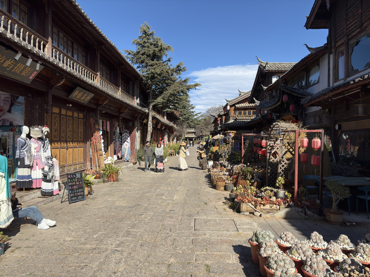 Picture China Lijiang 2026-01 166 - Cost Lijiang
