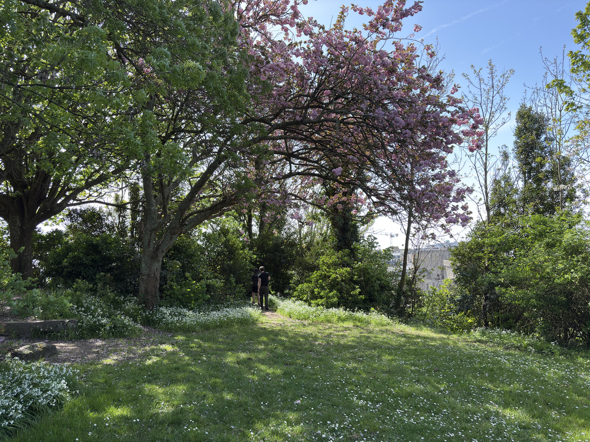 Picture France Concarneau Ville close 2026-04 120 - Spring Ville close
