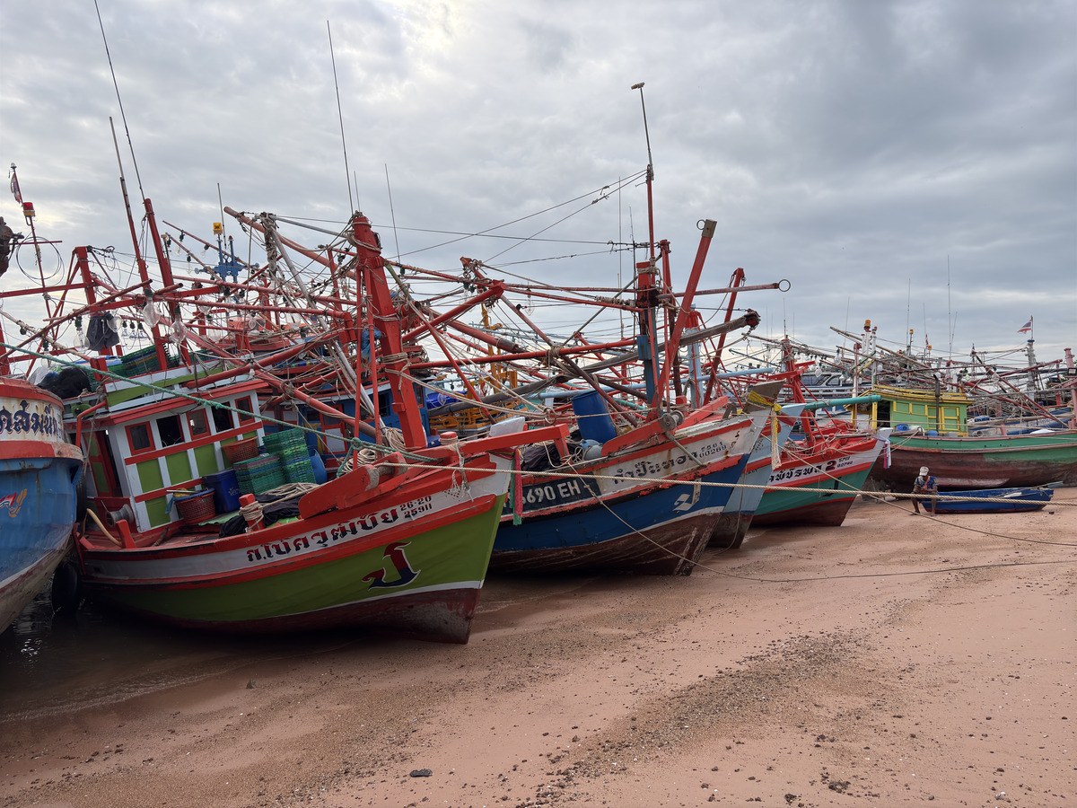 Picture Thailand Na Jomtien The Panora Estuaria 2024-12 16 - Shopping The Panora Estuaria