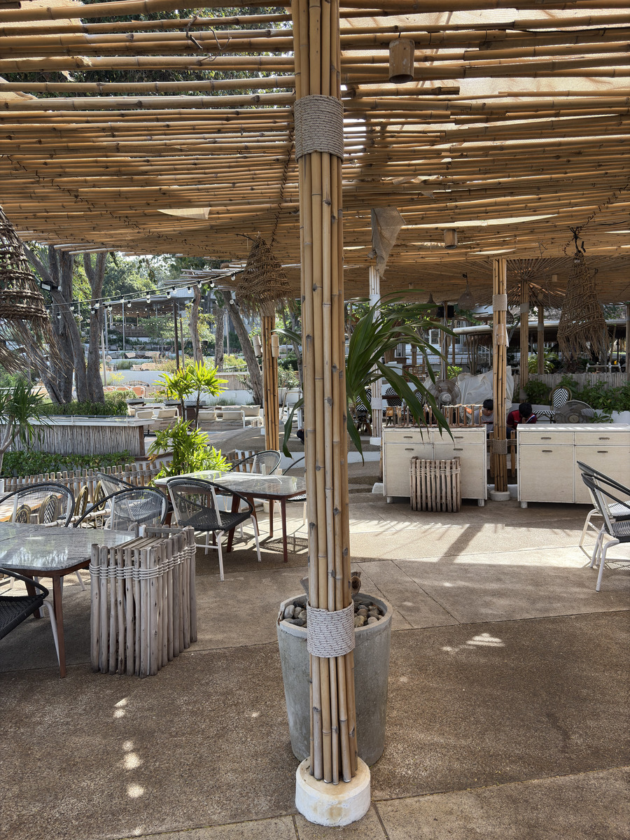 Picture Thailand Pattaya Oxygen Restaurant 2024-12 41 - Spring Oxygen Restaurant