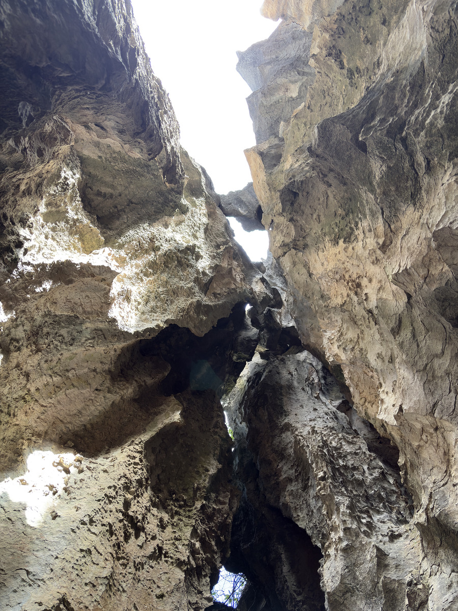 Picture China Shilin Stone Forest 2026-01 368 - Rental Shilin Stone Forest