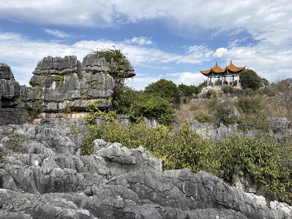 Picture China Shilin Stone Forest 2026-01 122 - Hotel Shilin Stone Forest