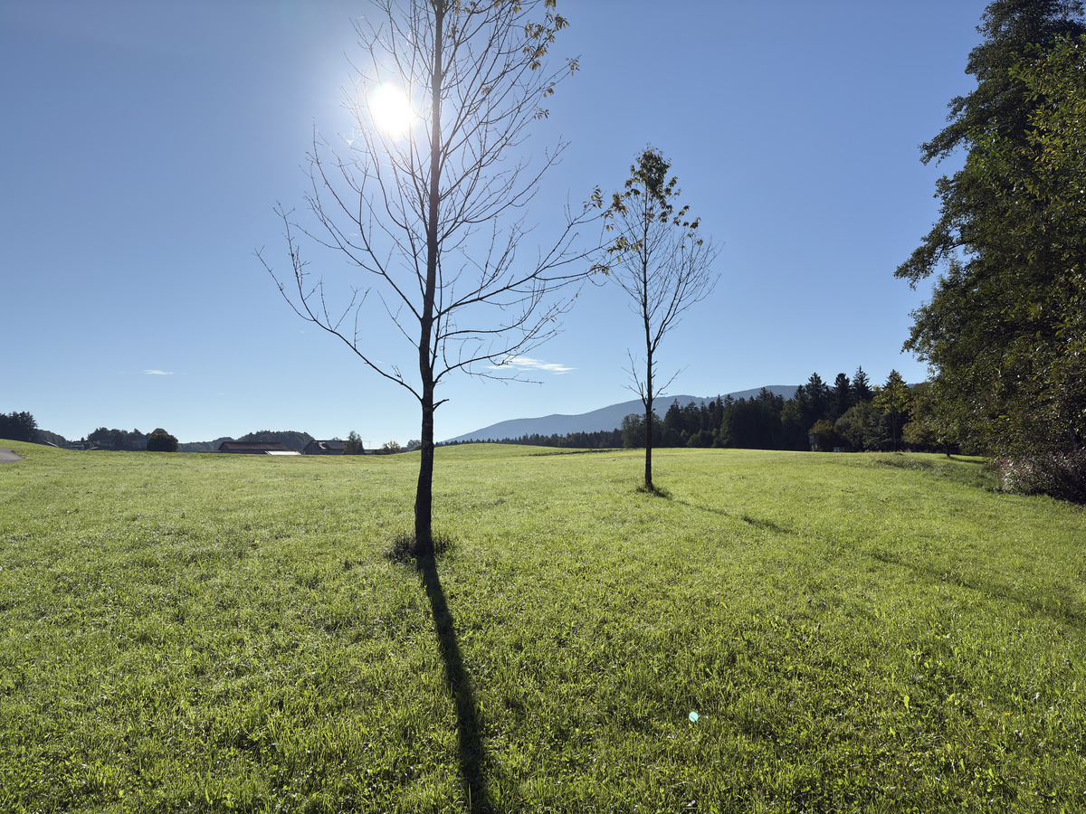 Picture Germany Surberg 2025-09 9 - Cost Surberg