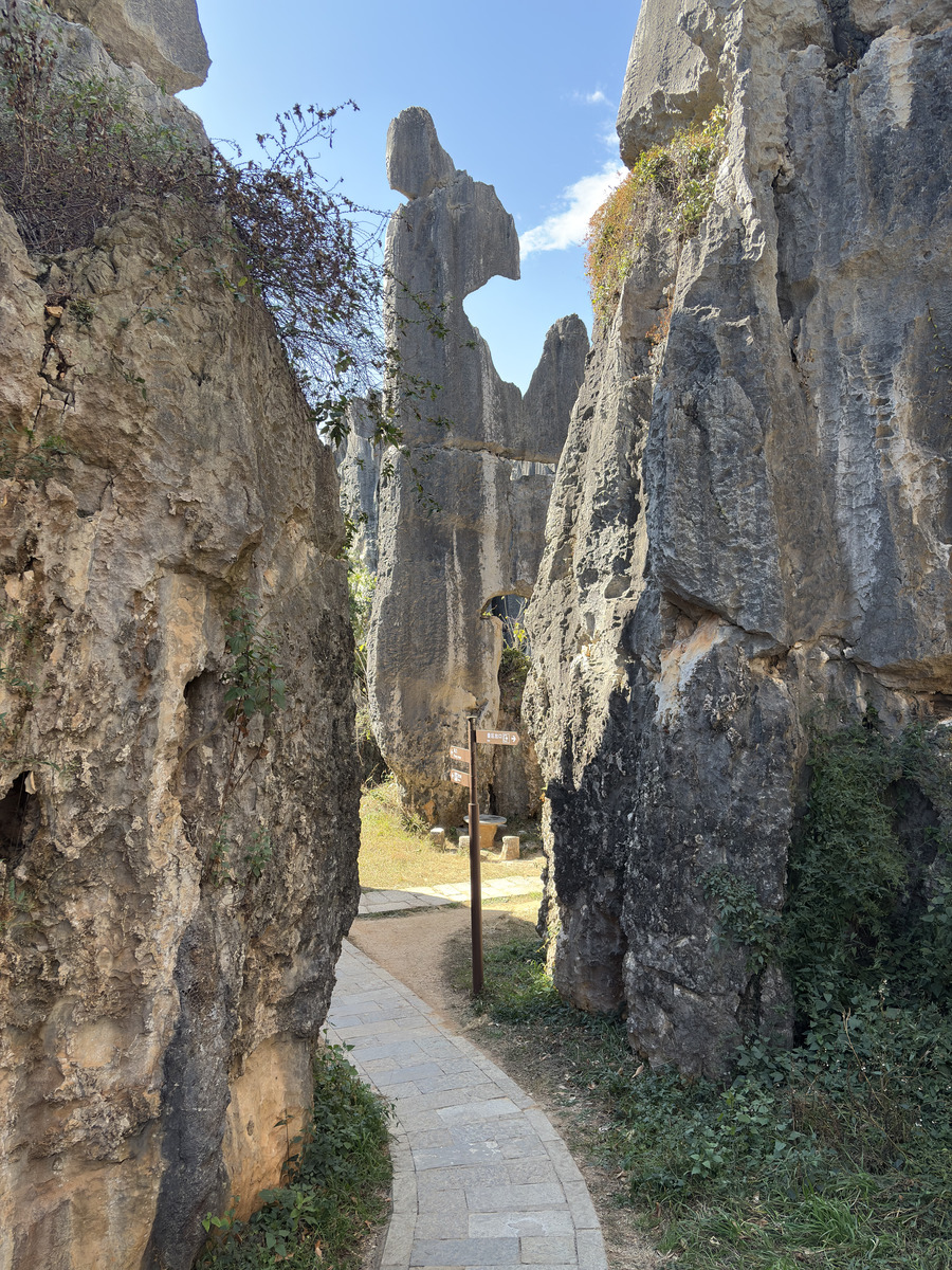 Picture China Shilin Stone Forest 2026-01 76 - Rental Shilin Stone Forest