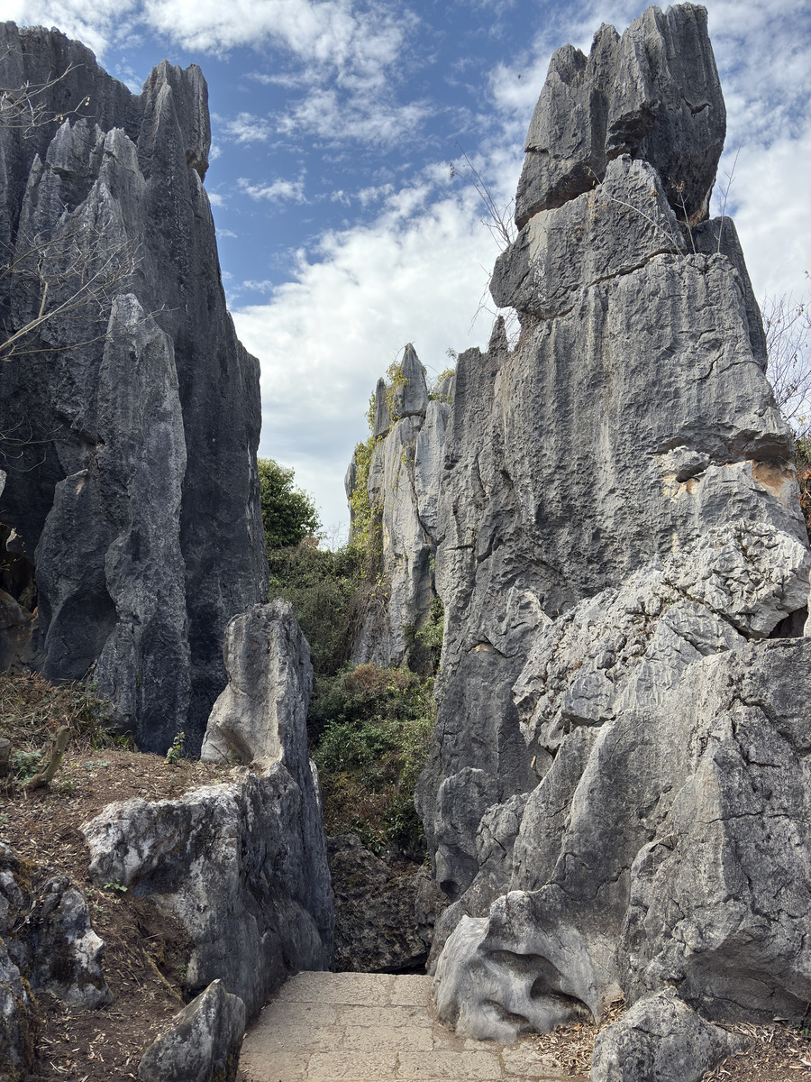 Picture China Shilin Stone Forest 2026-01 112 - Rain Season Shilin Stone Forest