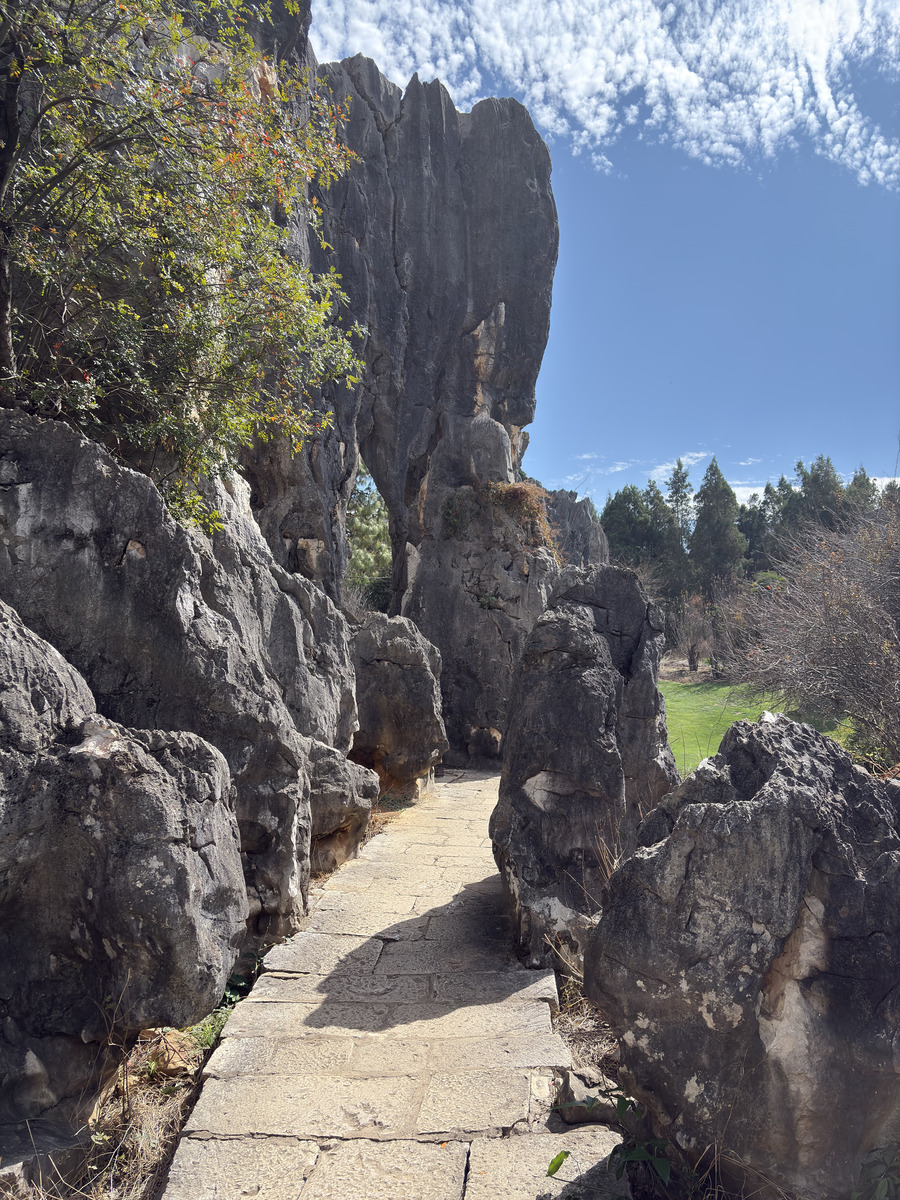 Picture China Shilin Stone Forest 2026-01 278 - Summer Shilin Stone Forest