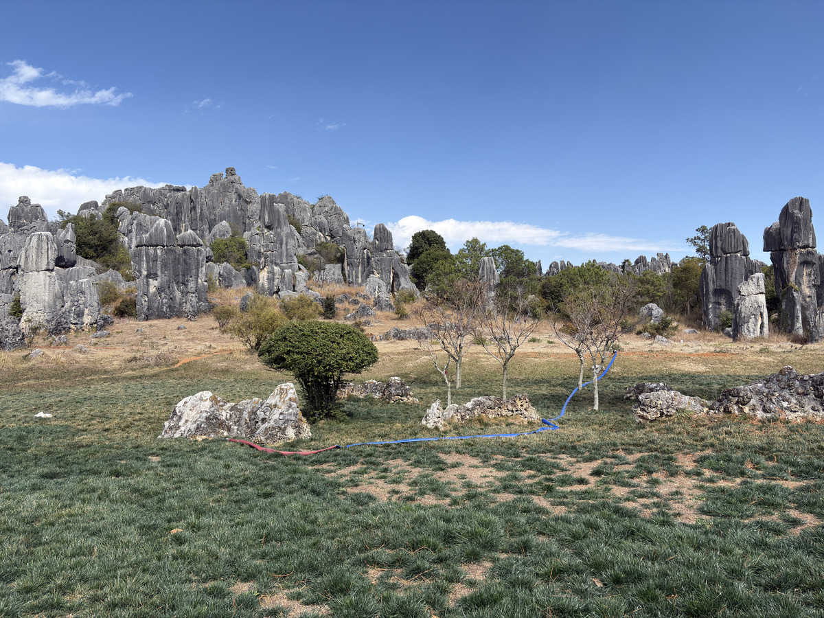 Picture China Shilin Stone Forest 2026-01 14 - Winter Shilin Stone Forest