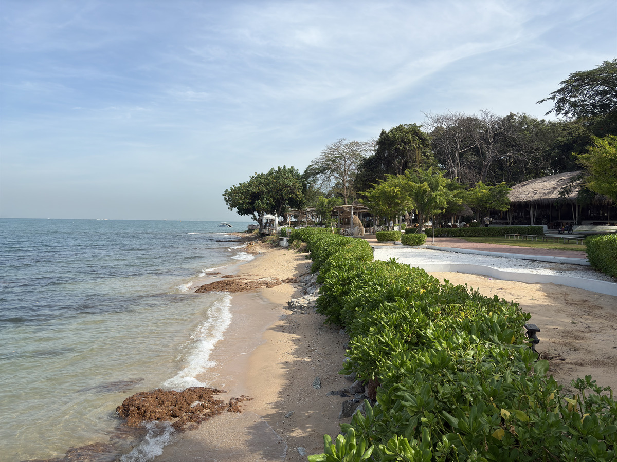 Picture Thailand Pattaya 2024-12 4 - Hotel Pools Pattaya