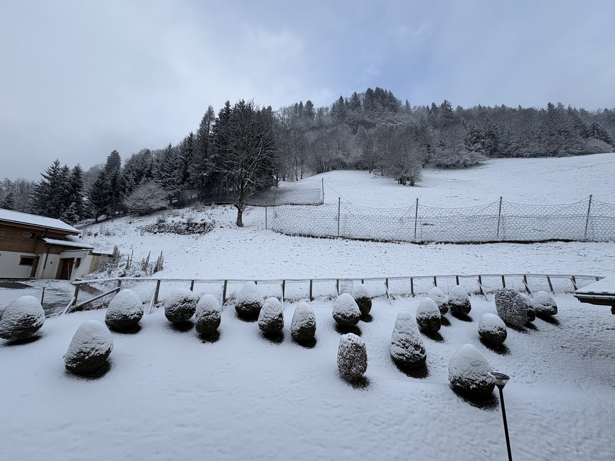 Picture France Praz sur Arly 2025-02 40 - Hot Season Praz sur Arly