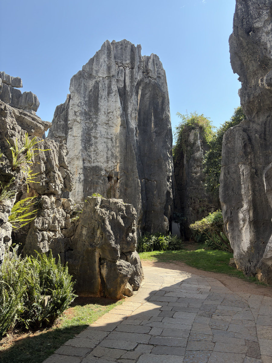 Picture China Shilin Stone Forest 2026-01 210 - Hot Season Shilin Stone Forest