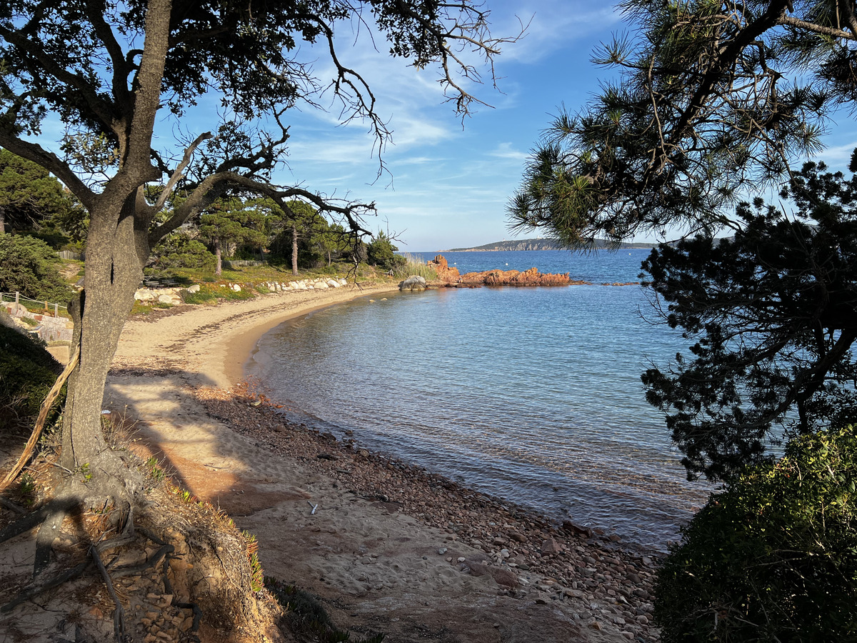 Picture France Corsica ⁨Cala Rossa⁩ 2024-05 8 - Restaurant ⁨Cala Rossa⁩