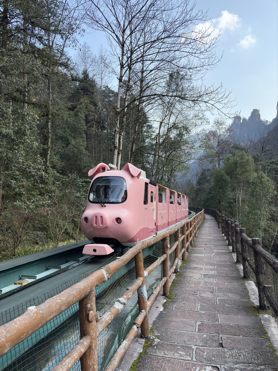 Picture China Zhangjiajie Tianzi Mountrain 2026-01 108 - Rentals Tianzi Mountrain