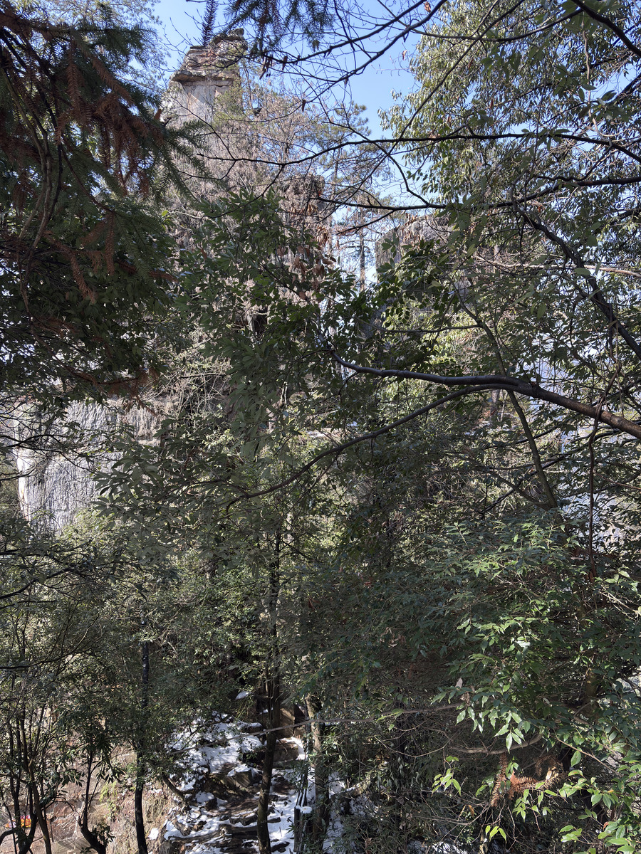 Picture China Zhangjiajie Tianzi Mountrain 2026-01 179 - Rooms Tianzi Mountrain