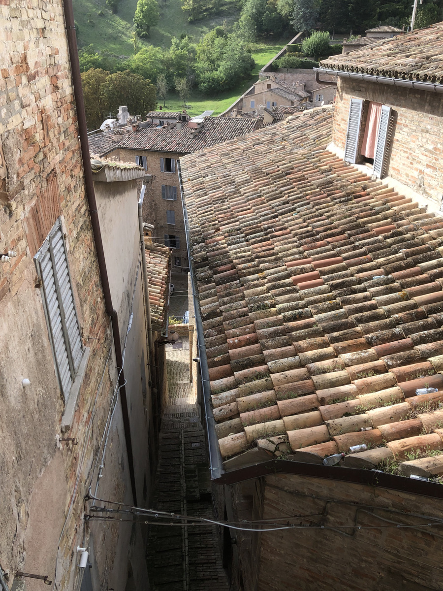 Picture Italy Urbino 2024-09 90 - Shopping Urbino