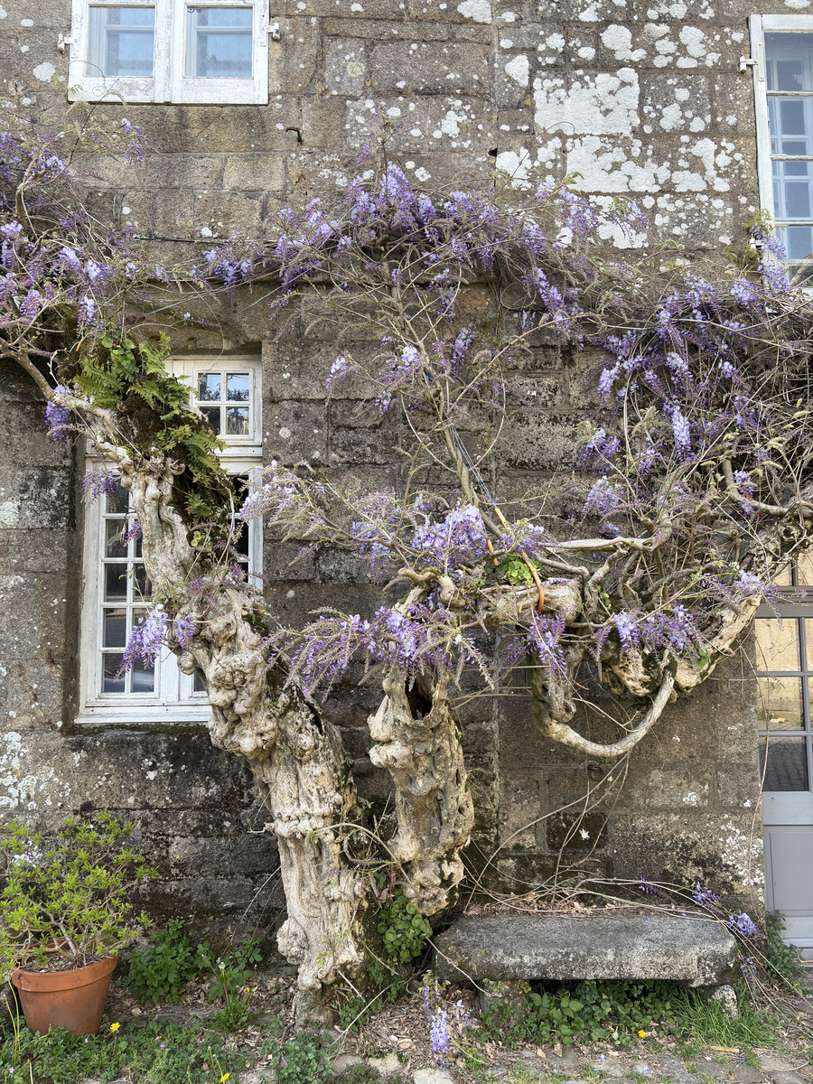 Picture France Locronan 2026-04 89 - Rentals Locronan