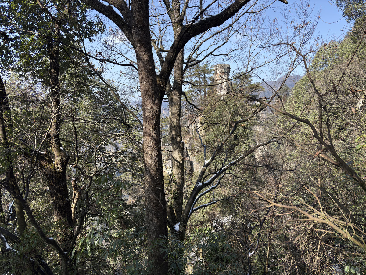 Picture China Zhangjiajie Tianzi Mountrain 2026-01 319 - Cheap Room Tianzi Mountrain