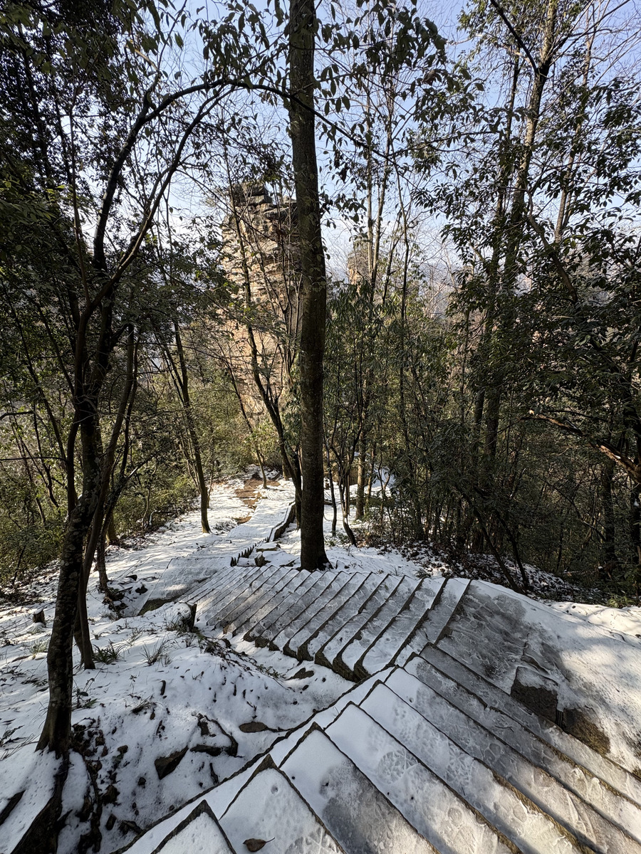 Picture China Zhangjiajie Tianzi Mountrain 2026-01 406 - Rentals Tianzi Mountrain