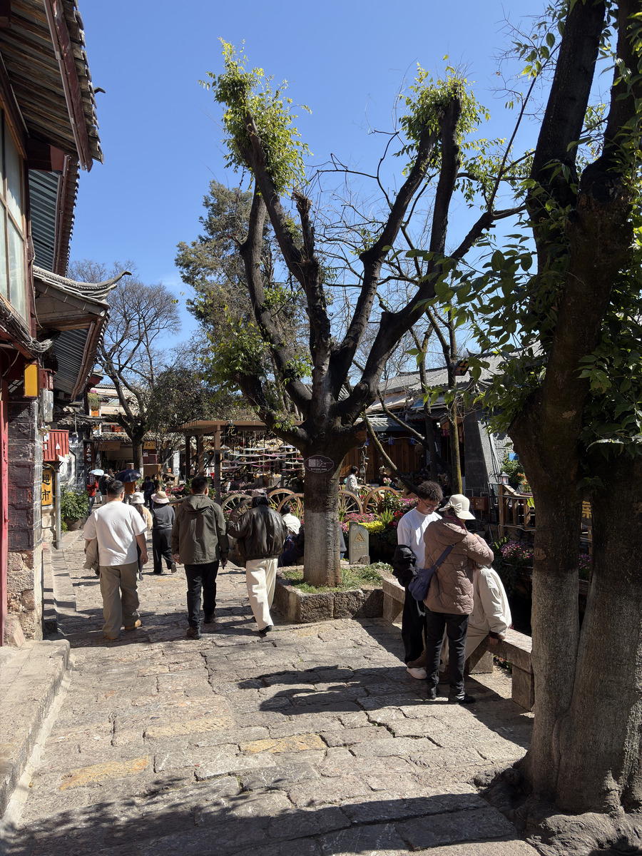 Picture China Lijiang 2026-01 410 - Streets Lijiang
