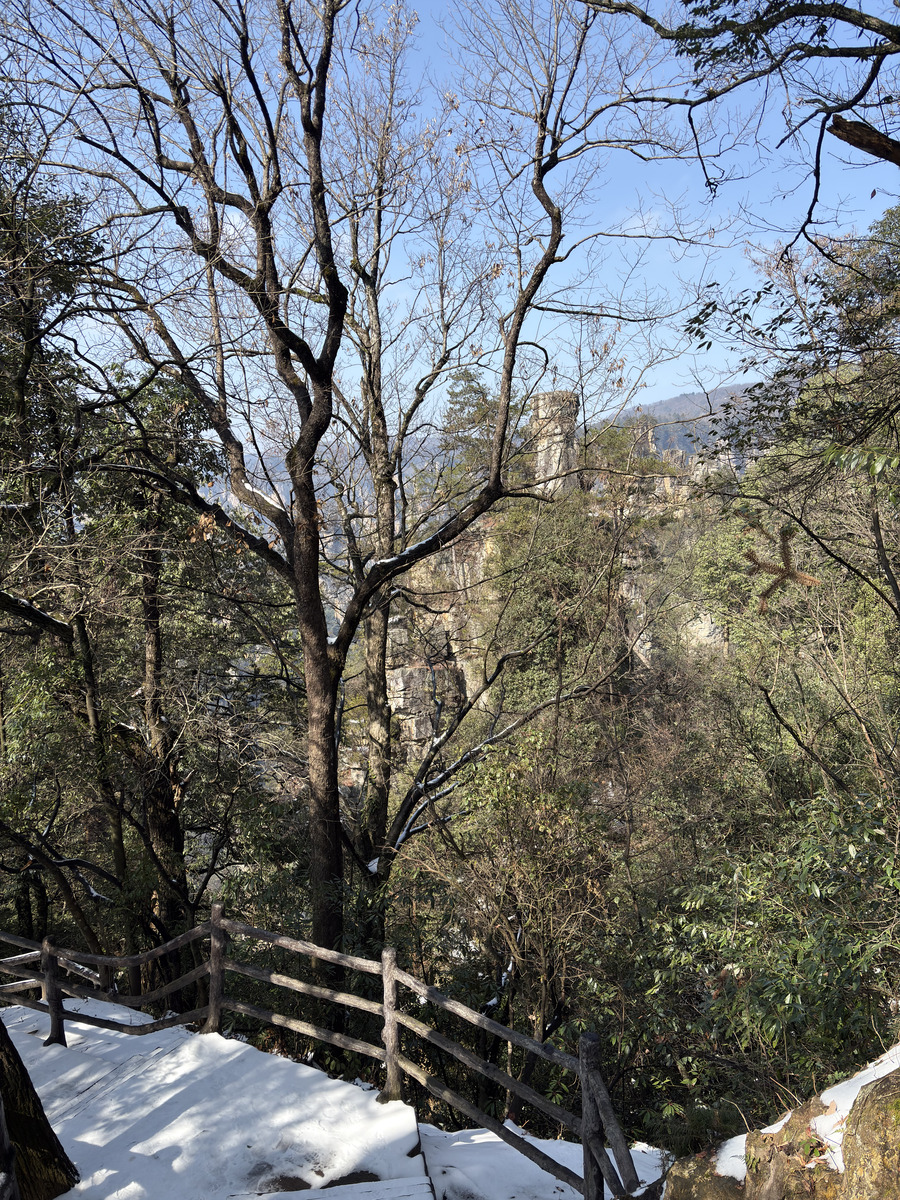 Picture China Zhangjiajie Tianzi Mountrain 2026-01 227 - Cheap Room Tianzi Mountrain