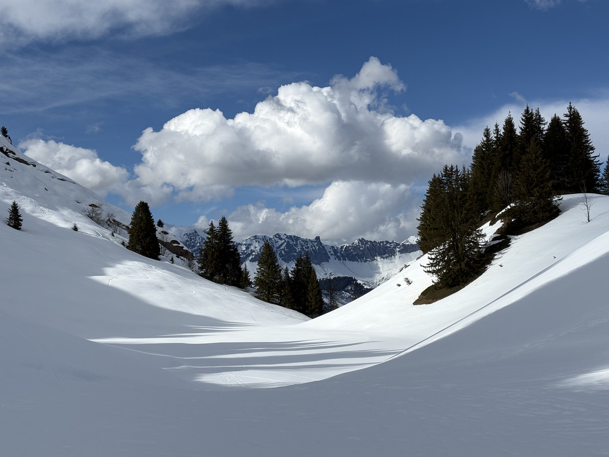 Picture France Praz sur Arly 2025-02 29 - Spring Praz sur Arly