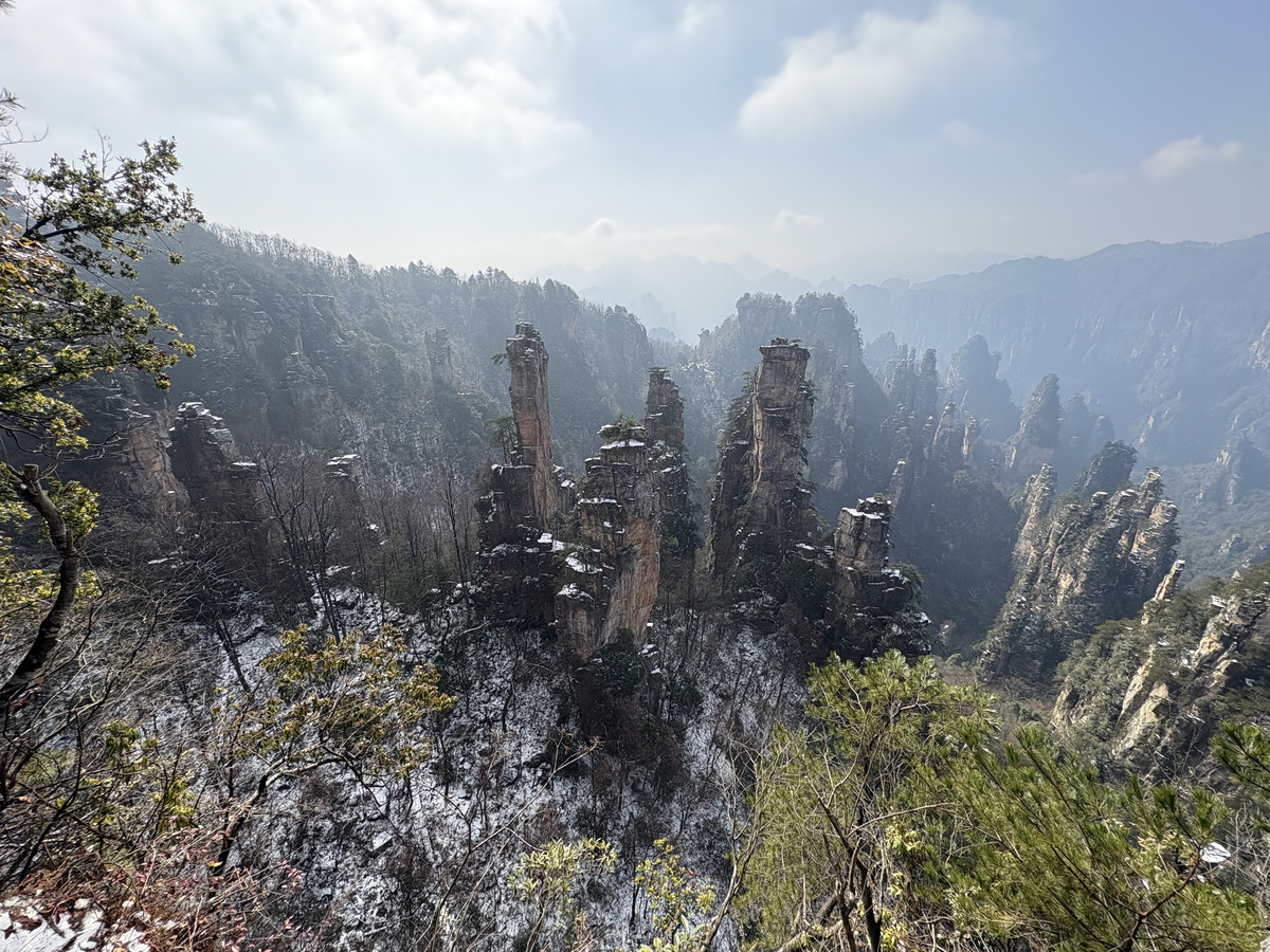 Picture China Zhangjiajie Tianzi Mountrain 2026-01 317 - Savings Tianzi Mountrain
