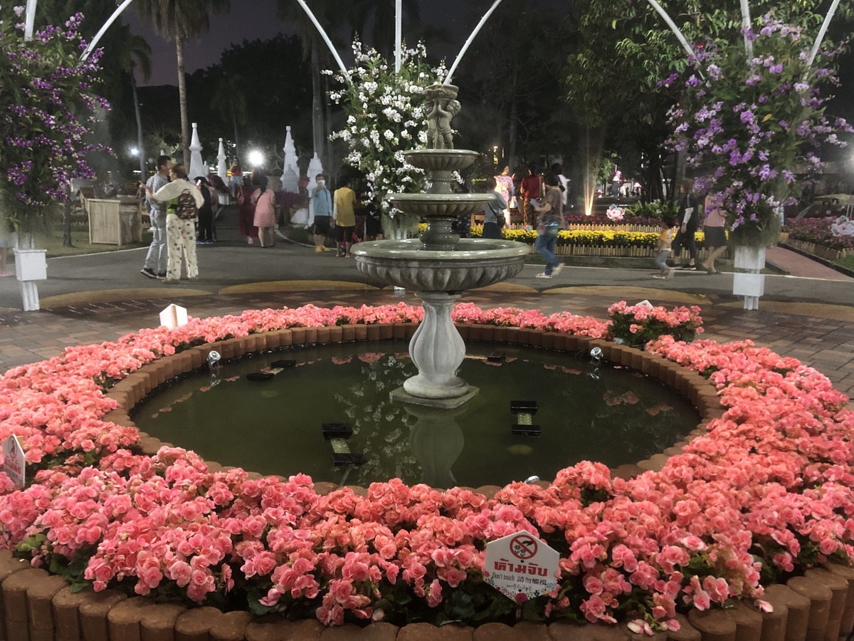 Picture Thailand Chiang Mai Nong Buak Haad Public Park 2024-01 30 - Hotel Pools Nong Buak Haad Public Park