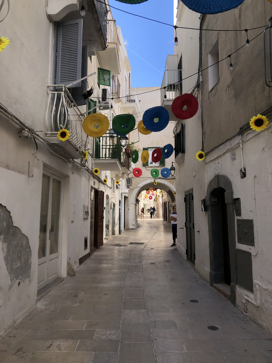 Picture Italy Monopoli 2024-09 49 - Rental Monopoli