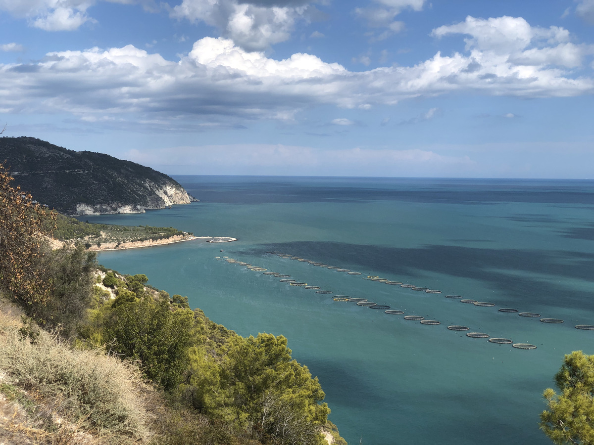 Picture Italy Gargano 2024-09 9 - Hotel Pools Gargano