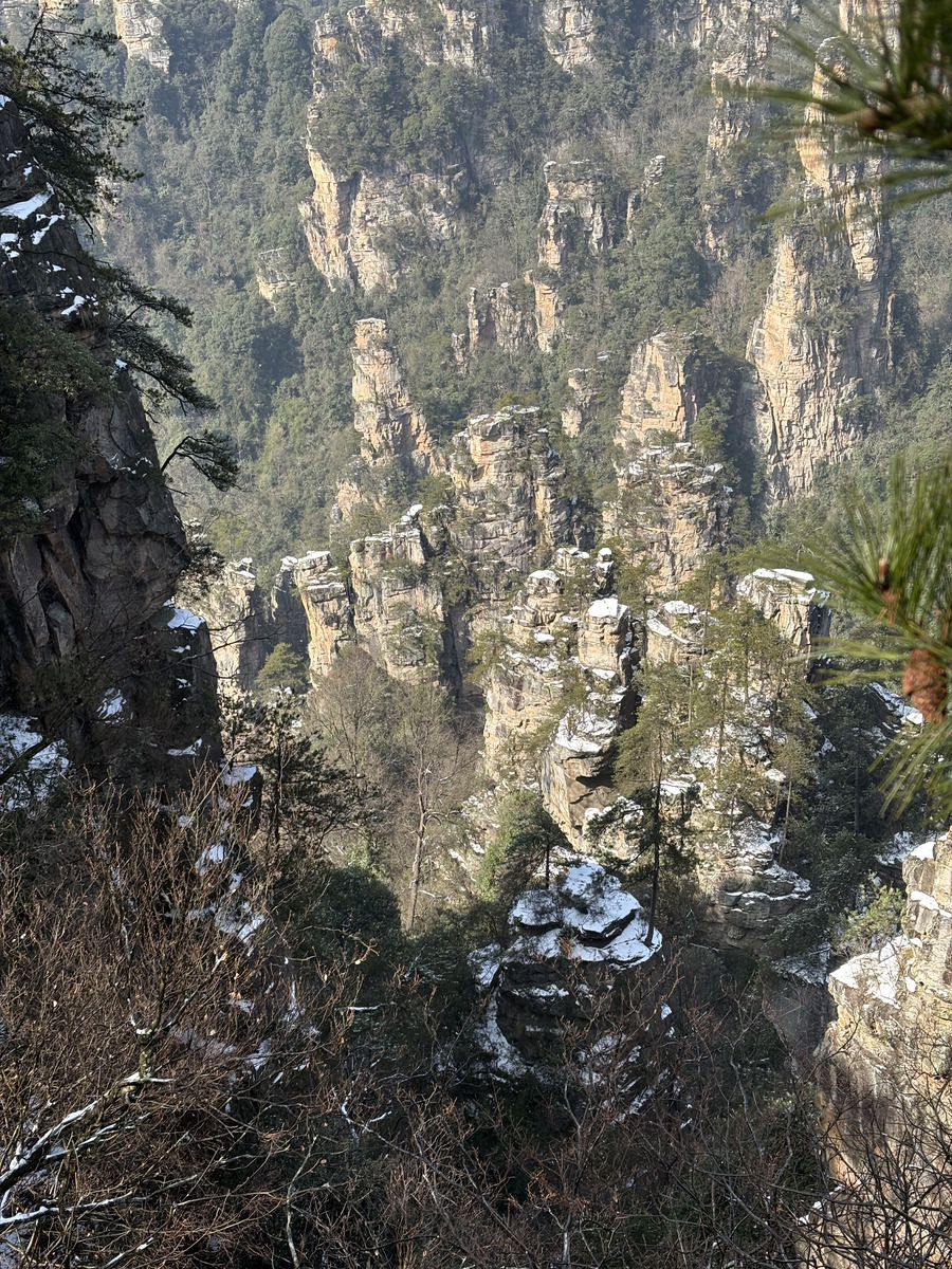 Picture China Zhangjiajie Tianzi Mountrain 2026-01 21 - Accomodation Tianzi Mountrain