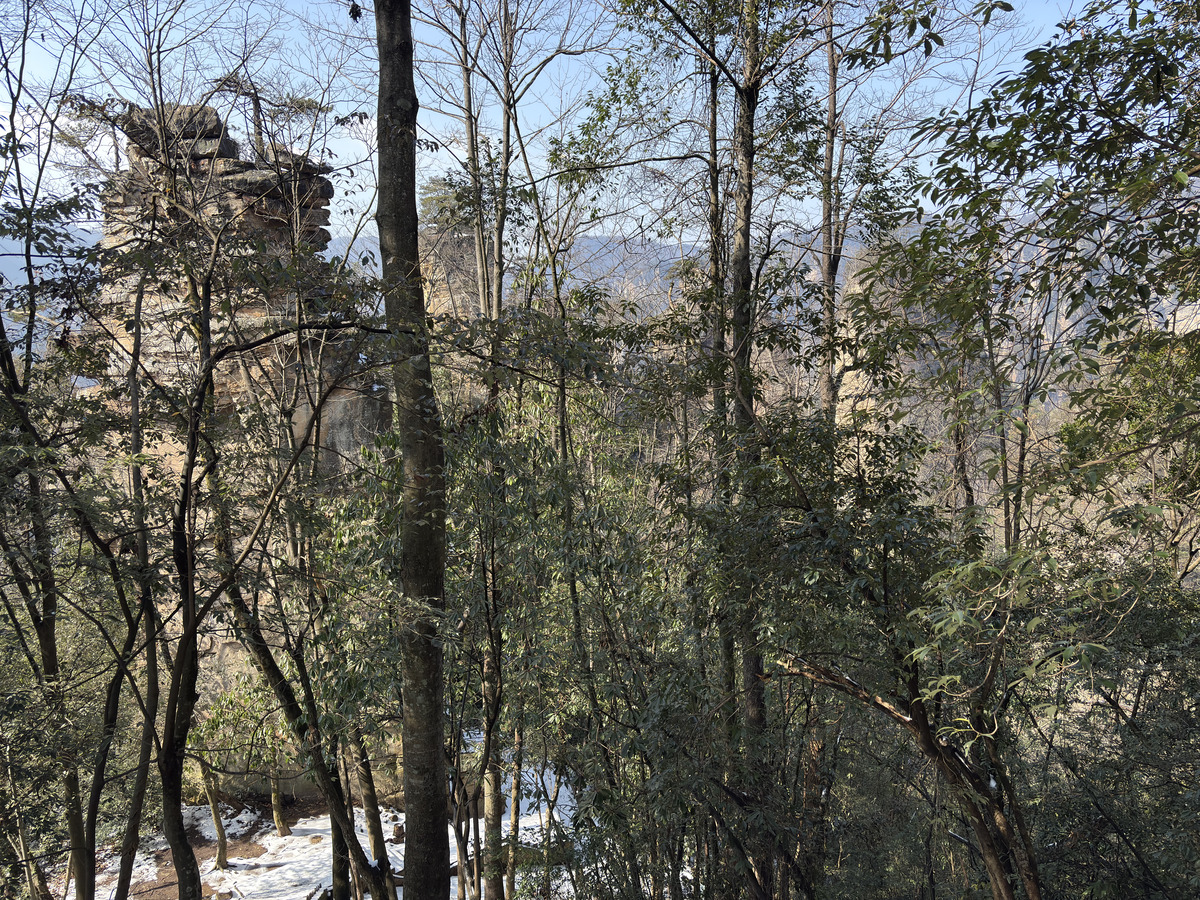 Picture China Zhangjiajie Tianzi Mountrain 2026-01 331 - Rentals Tianzi Mountrain