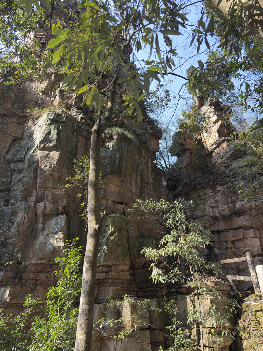 Picture China Zhangjiajie Tianzi Mountrain 2026-01 241 - Cost Tianzi Mountrain