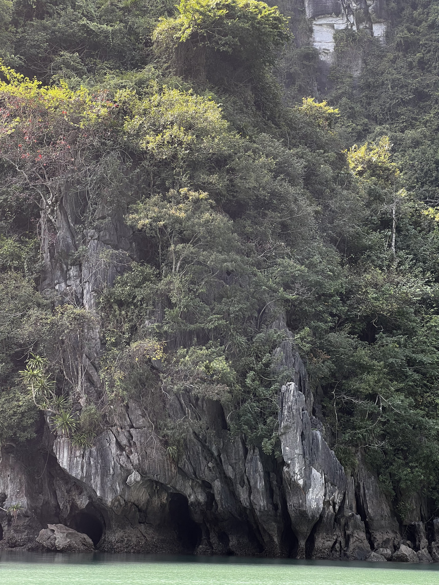 Picture Vietnam Ha Long Bay 2024-01 48 - Shopping Ha Long Bay
