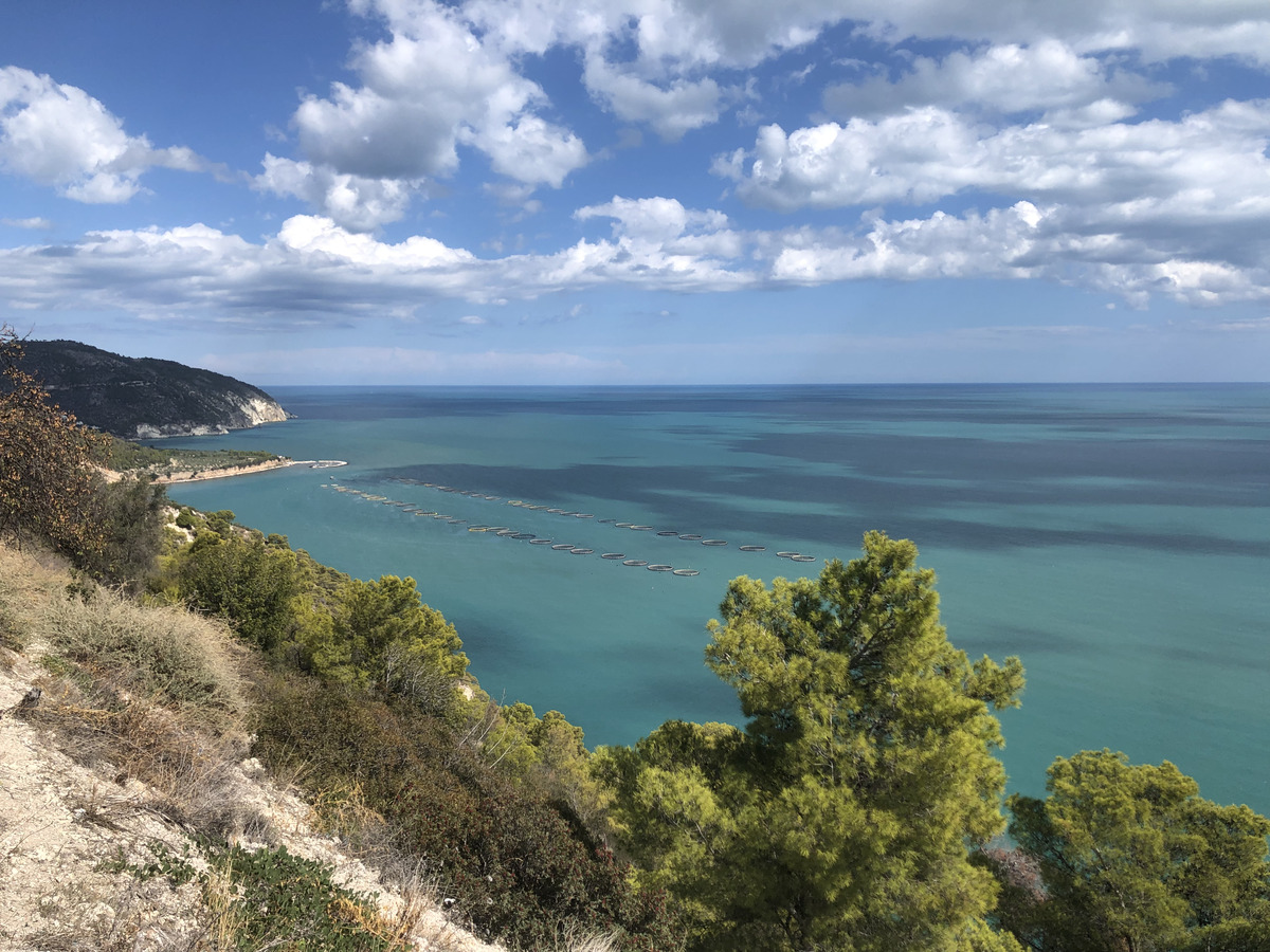 Picture Italy Gargano 2024-09 20 - Room Gargano