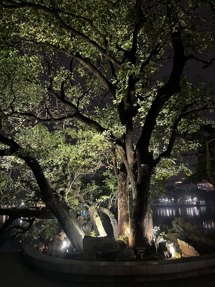 Picture Vietnam Hanoi Hoan Kiem Lake 2024-01 36 - Night Hoan Kiem Lake