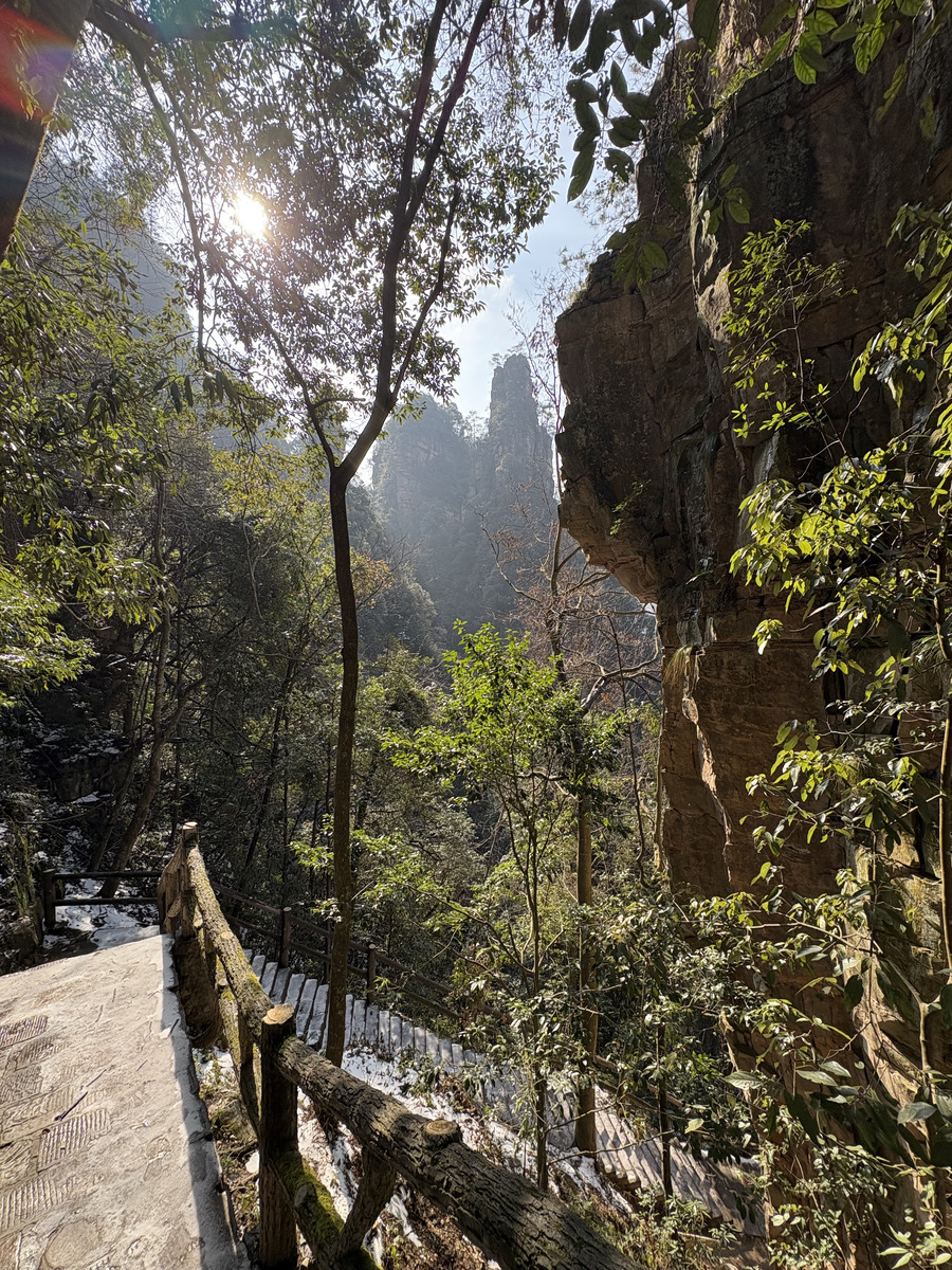 Picture China Zhangjiajie Tianzi Mountrain 2026-01 216 - Sunrise Tianzi Mountrain