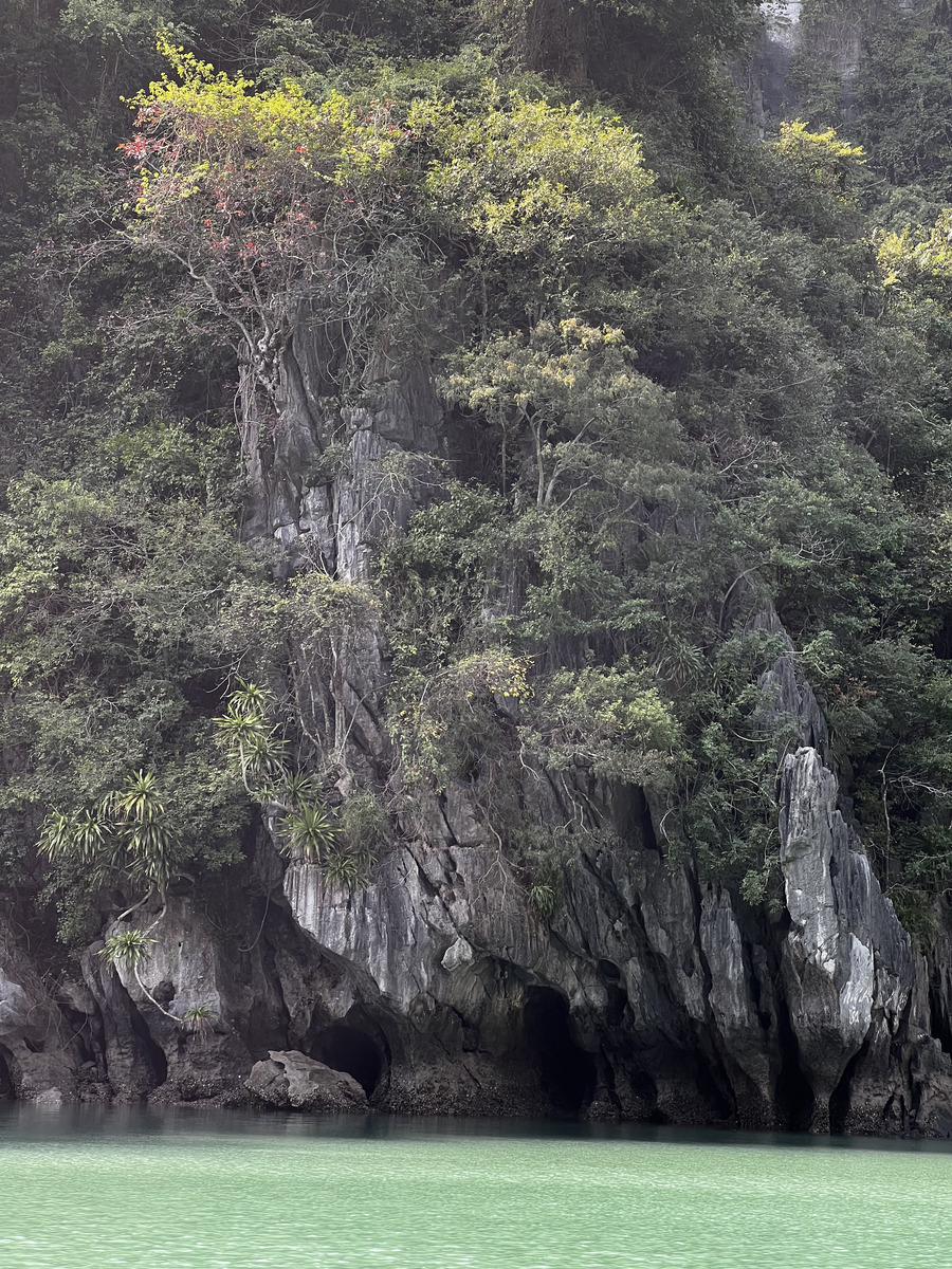 Picture Vietnam Ha Long Bay 2024-01 66 - Hotels Ha Long Bay