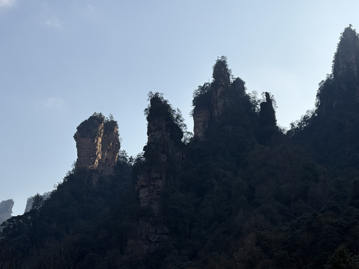 Picture China Zhangjiajie Tianzi Mountrain 2026-01 221 - Hot Season Tianzi Mountrain