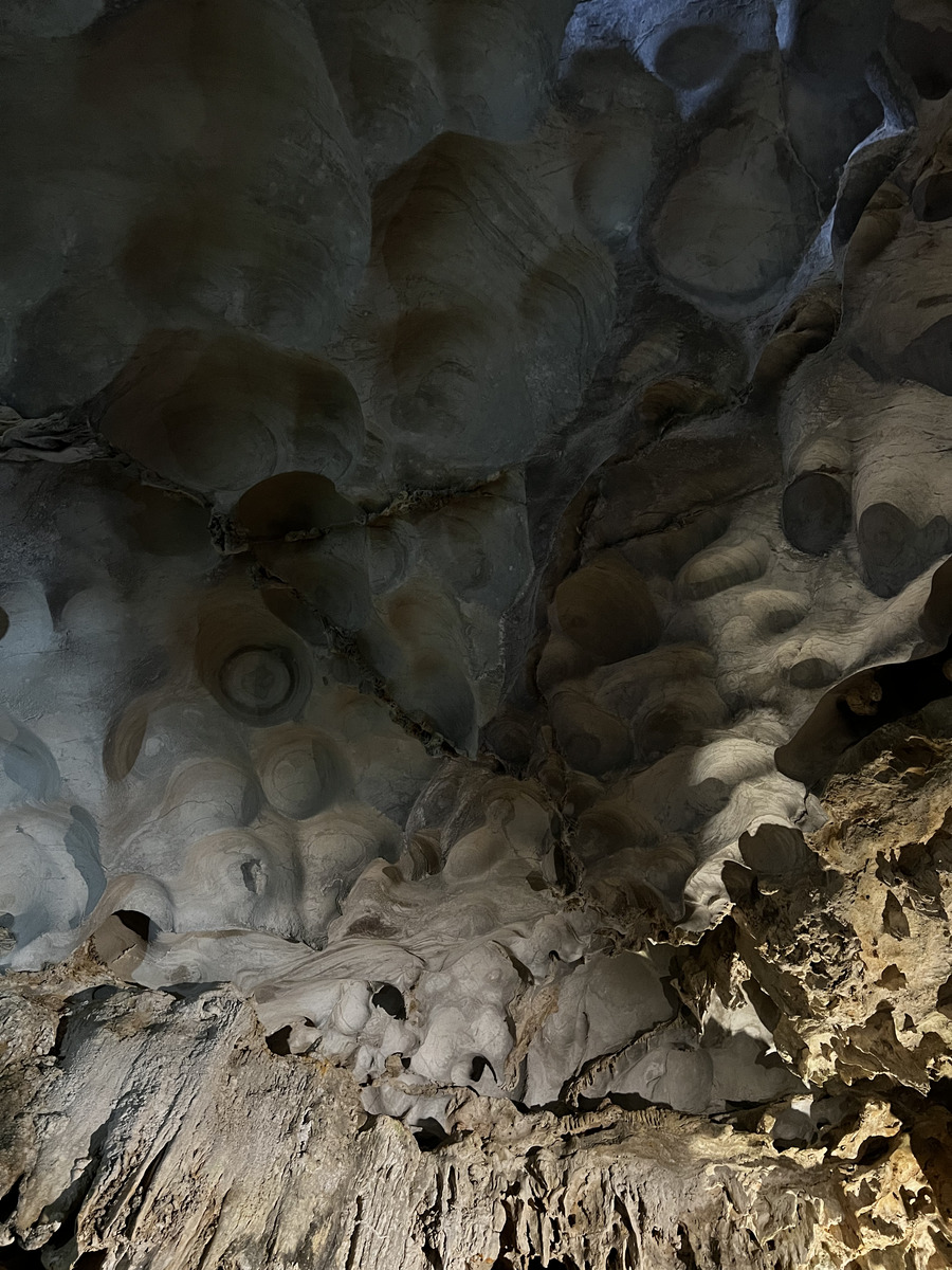 Picture Vietnam Ha Long Bay Sung Sot Cave 2024-01 1 - Rental Sung Sot Cave
