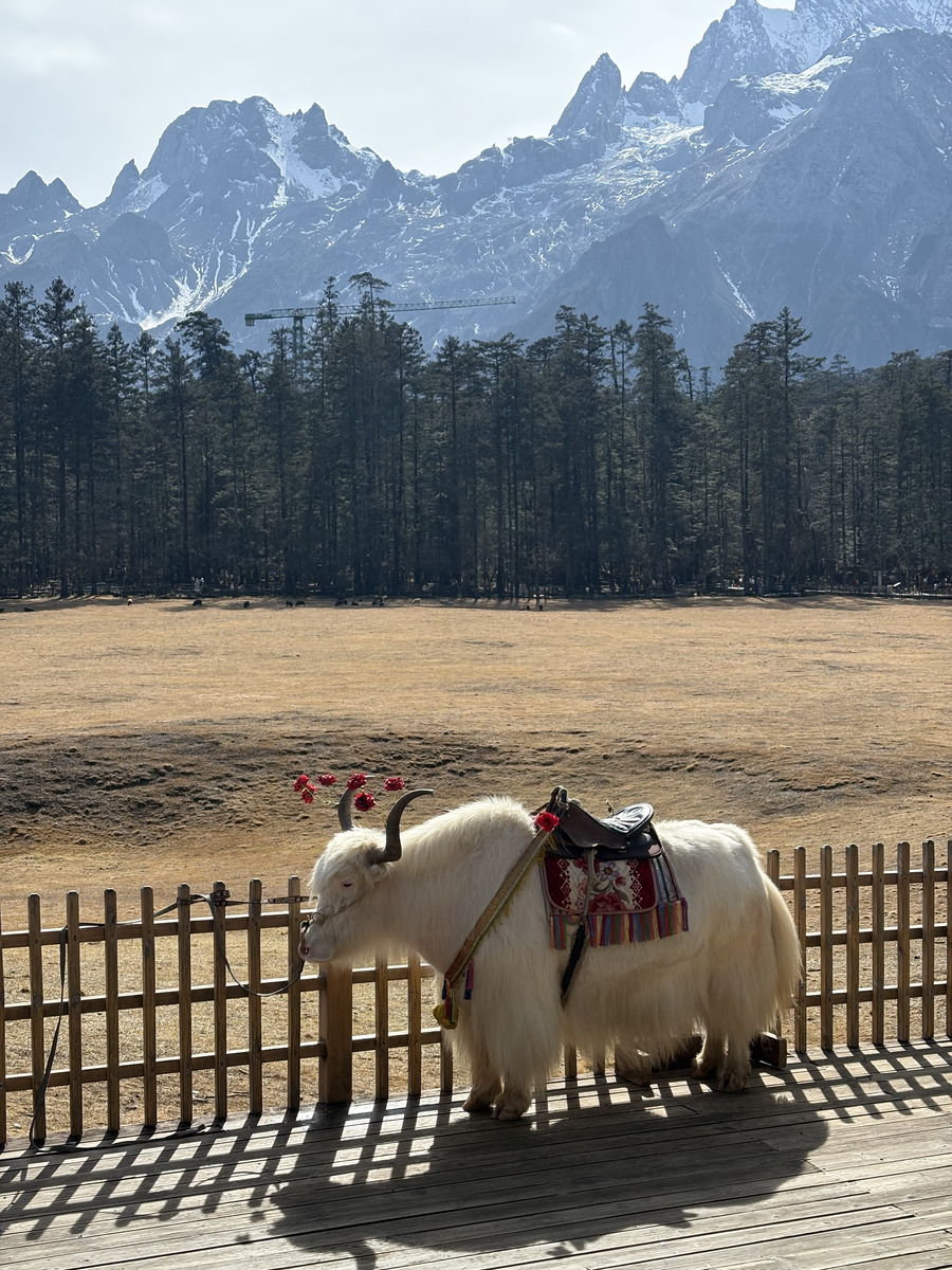 Picture China Lijiang Blue moon valley 2026-01 132 - Weather Blue moon valley