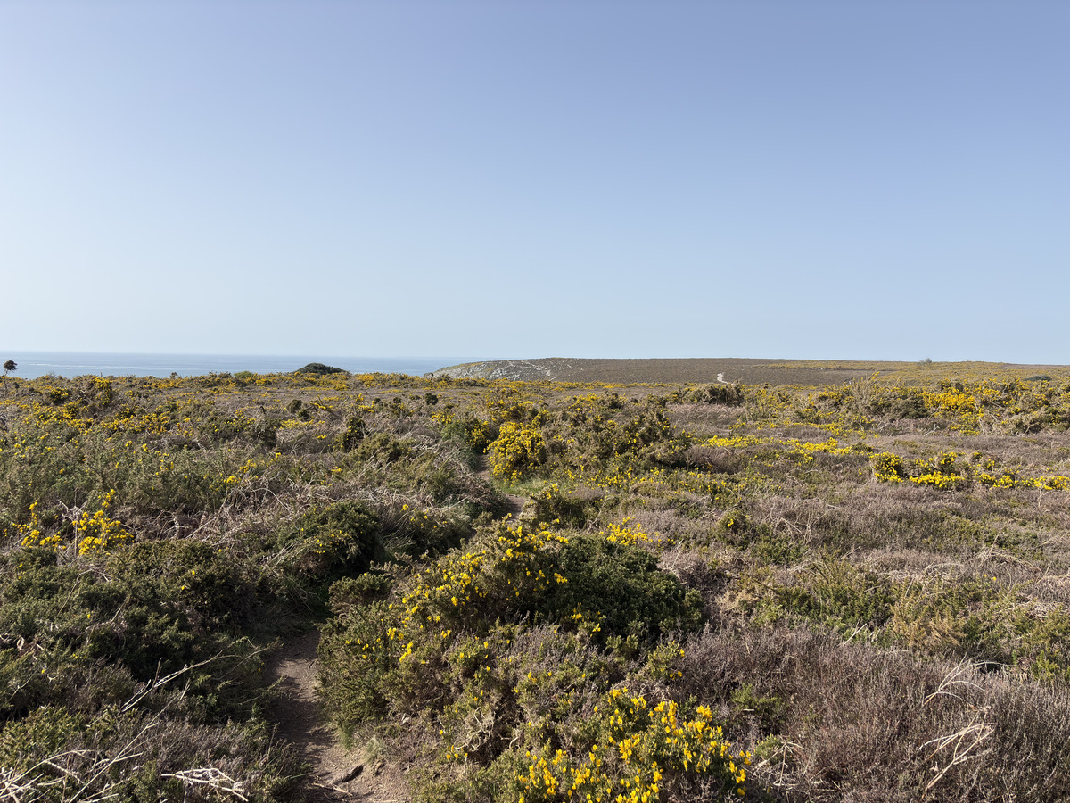 Picture France Crozon Cap de la Chevre 2026-04 15 - Accomodation Cap de la Chevre