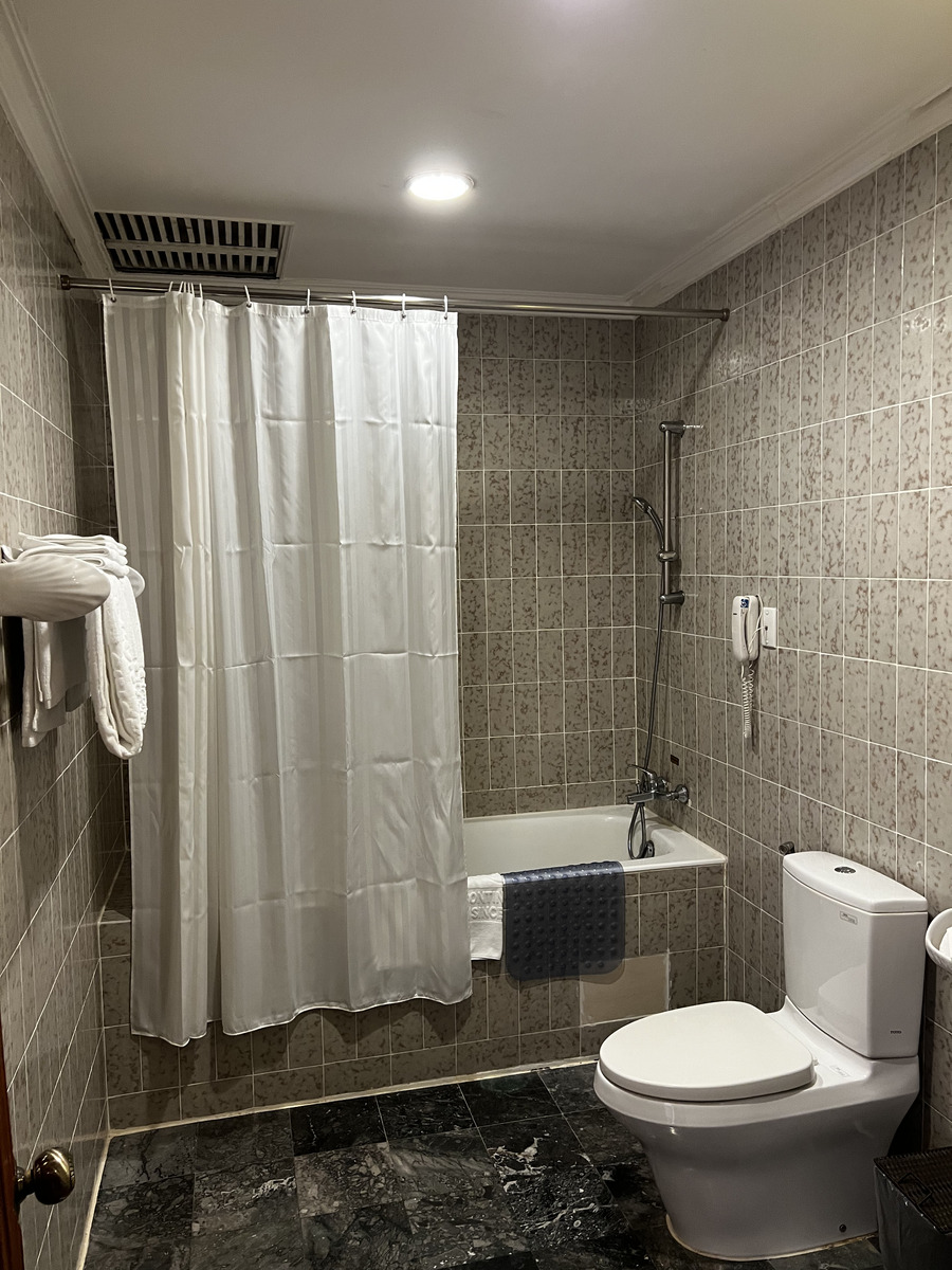 Picture Vietnam Saigon Continental Hotel 2024-01 30 - Waterfall Continental Hotel