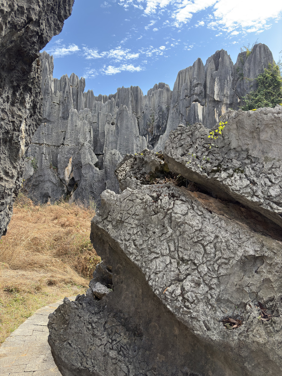 Picture China Shilin Stone Forest 2026-01 189 - Lake Shilin Stone Forest