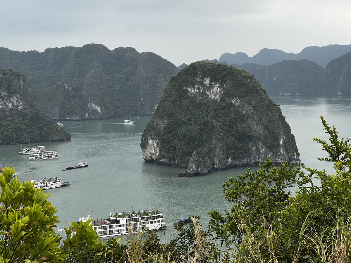 Picture Vietnam Ha Long Bay 2024-01 160 - Saving Ha Long Bay