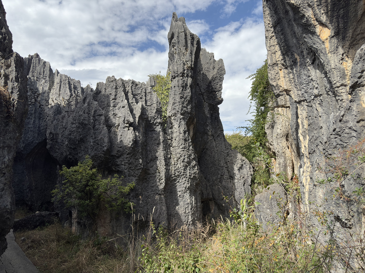 Picture China Shilin Stone Forest 2026-01 263 - Sunset Shilin Stone Forest