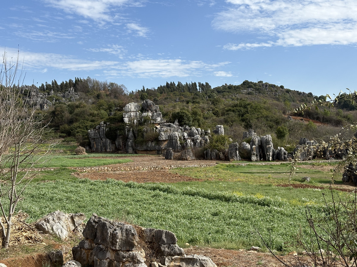 Picture China Shilin Stone Forest 2026-01 280 - To see Shilin Stone Forest