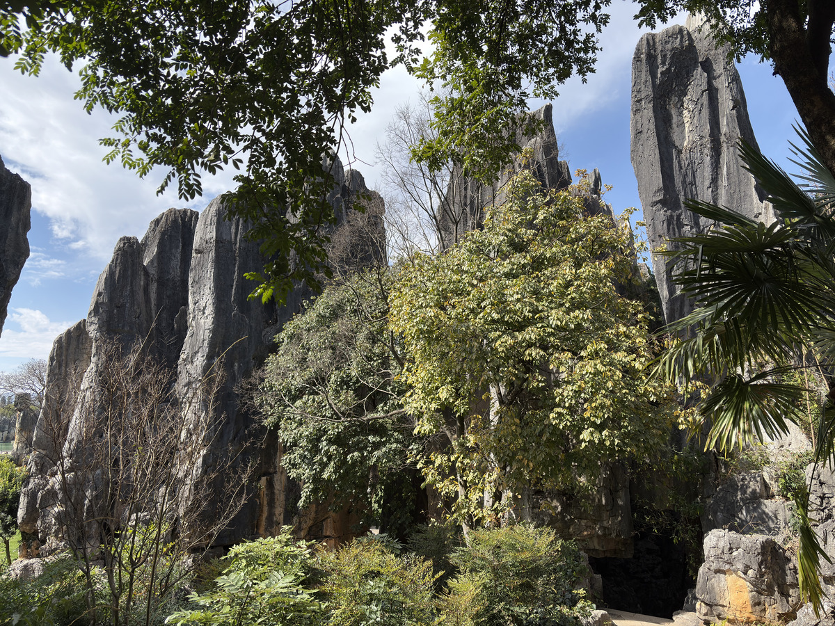Picture China Shilin Stone Forest 2026-01 128 - Resort Shilin Stone Forest