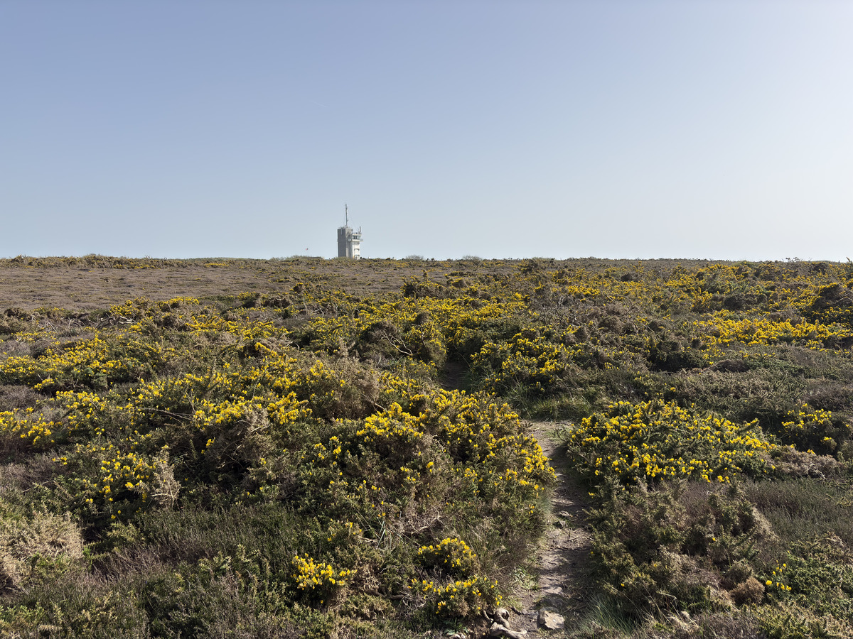 Picture France Crozon Cap de la Chevre 2026-04 19 - Room Cap de la Chevre